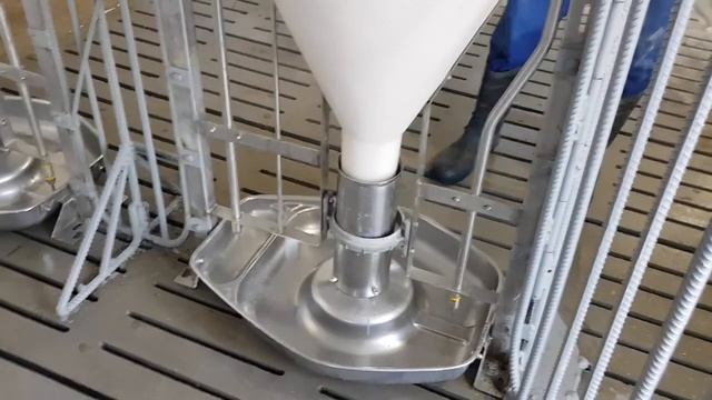 ЗАПУСК СОВРЕМЕННОГО СВИНАРНИКА смотреть онлайн