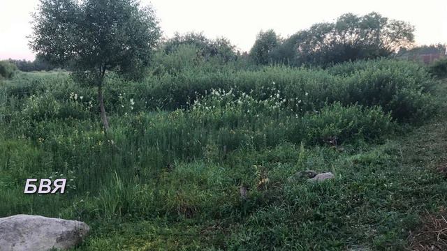 РЕКА ПАХМА 2023г смотреть онлайн