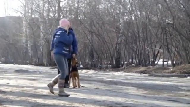Эрдельтерьер Eureka vom Erikson (4 мес.) Первые шаги в дрессировке. смотреть онлайн