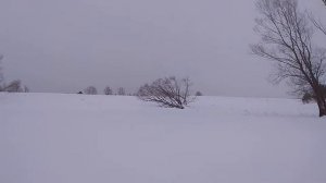 Делаем приваду на лису.