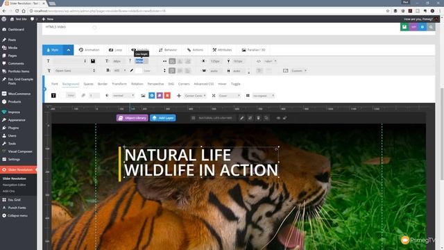Full Screen Video Sliders in Slider Revolution 5 смотреть онлайн
