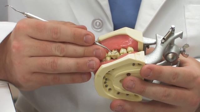 Dental Health : How to Cure Gum Disease смотреть онлайн