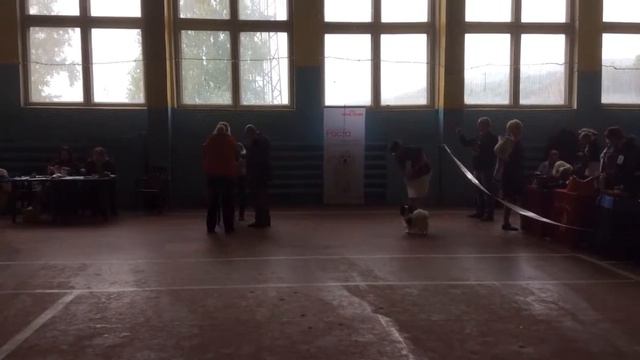 Миасс 2014 гелиос смотреть онлайн