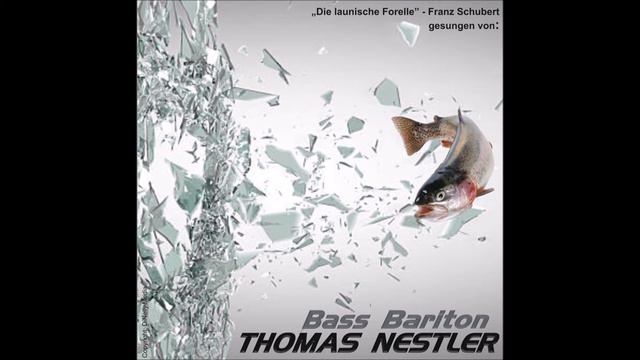 "Die launige Forelle" von Franz Schubert gesungen von Bass Bariton Baden Thomas Nestler смотреть онлайн