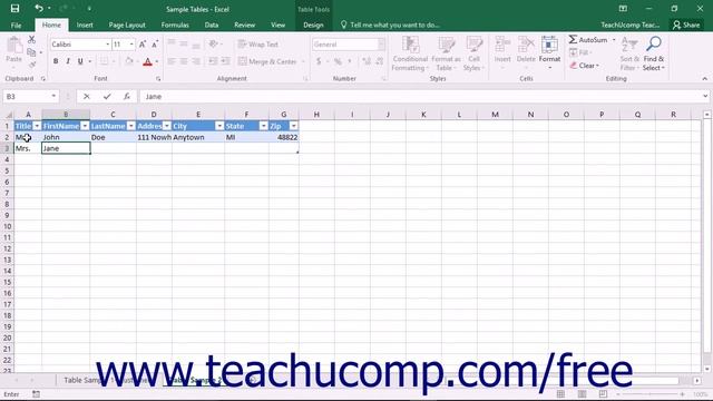 Excel 2016 Tutorial Adding and Editing Records Training Lesson смотреть онлайн