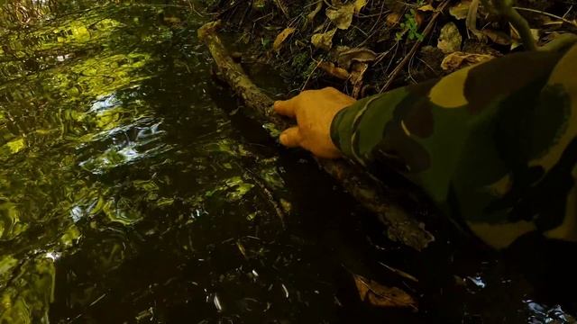 (ЛЕГКИЕ ДЕНЬГИ) МОЁ ЗОЛОТО ДОБЫЧА В ЛЕСУ ЭЖЕКТОРОМ смотреть онлайн