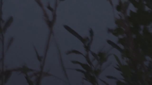 улетала утка от орла смотреть онлайн