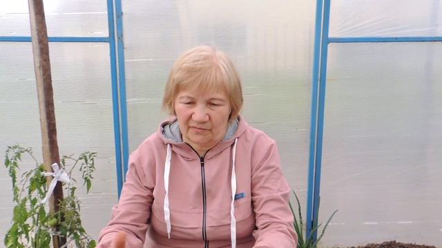 СРОКИ ПОСАДКИ ВСЕХ ВИДОВ КАПУСТЫ! смотреть онлайн