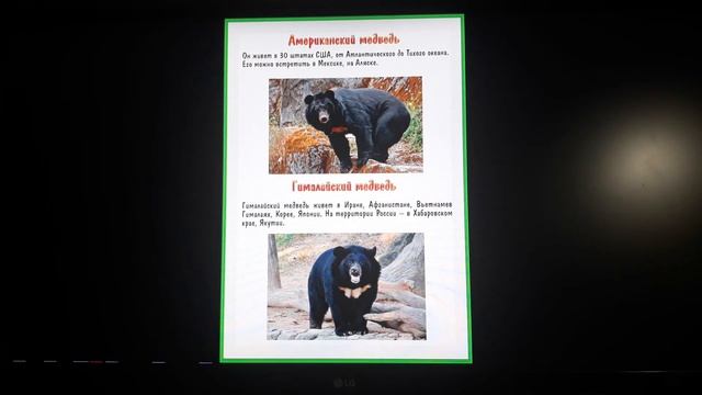 Проект в 1 класс в формате pdf слайд-шоу смотреть онлайн