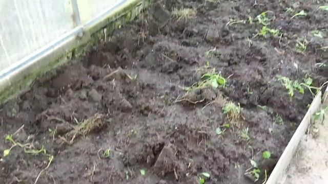 Обработка теплицы осенью. Чем обрабатываю сад осенью. Обработка грунта в теплице осенью. смотреть онлайн