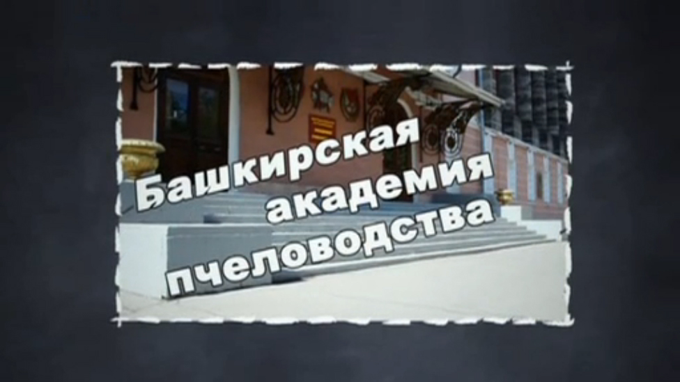 vuzi смотреть онлайн