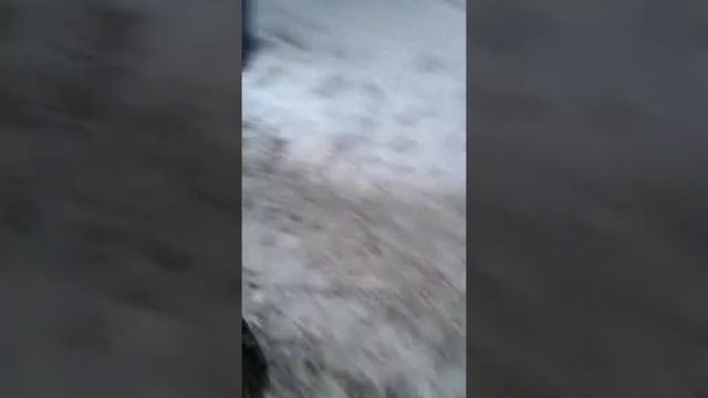 Жигулевское сиденье на адаптер смотреть онлайн