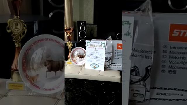 Награды нашли героя - пришли призы Алдана смотреть онлайн