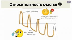 Работа Мозга. Нейробиология. Обучение. Медиаторы. Ум.