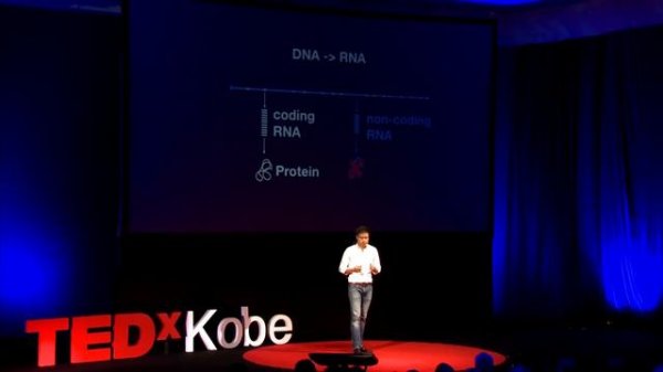 More to our Junk DNA than meets the eye | Jay W. SHIN | TEDxKobe