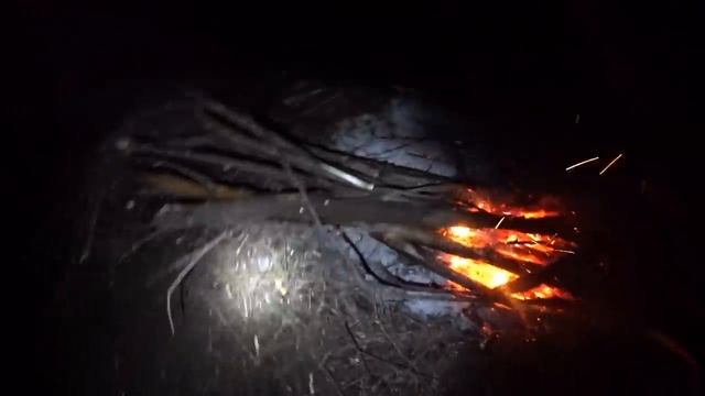 КАК ОНО ЕСТЬ\ РЫБАЛКА НА НАЛИМА\ 13 ЧАСОВ В ТЕМНОТЕ\ СЛОЖНО, МОКРО, НО ЭТО ПО НАШЕМУ!!!! смотреть онлайн