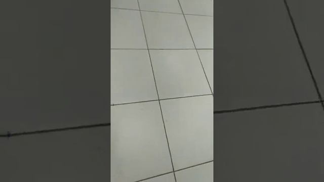 Будущая наглая рыжая морда...))) смотреть онлайн