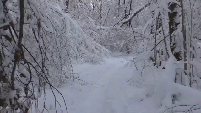 Зимний лес! Как зашивать гипсокартон на потолке одному! смотреть онлайн