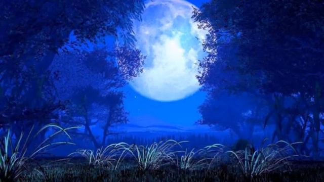 ты мне веришь.avi смотреть онлайн
