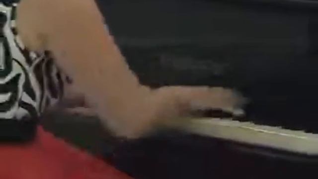 Мендельсон. Рондо-- Каприччиозо . Анна Горьева смотреть онлайн