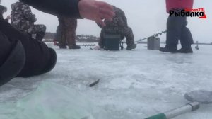 Ловля уклейки в марте со льда(архив канала).