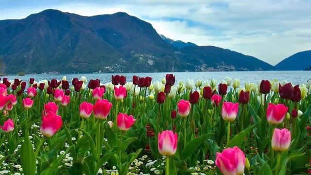 Отличная музыка для души ?расслабляющаяпр?иятная музыка?Музыка для медитации успокаивает ум ❤❤❤ смотреть онлайн