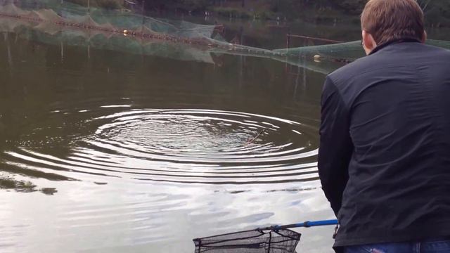 КРХ "Дикий карп" 31.08.2014 г. смотреть онлайн