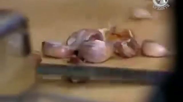 Джейми Оливер 13