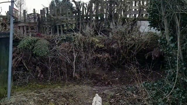 Жизнь в Германии,прогулка по окраине города,как живут немцы смотреть онлайн