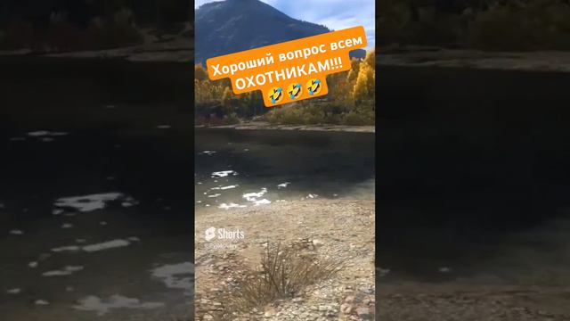ХОРОШИЙ ВОПРОС ВСЕМ ОХОТНИКАМ!!! 🤣🤣🤣 полное видео на канале👇 смотреть онлайн