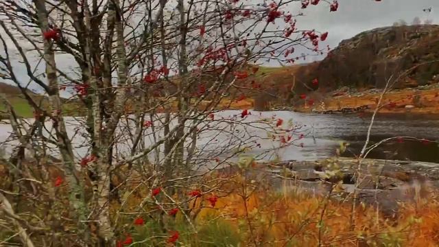 Mercedes W201 2.6L Norway смотреть онлайн