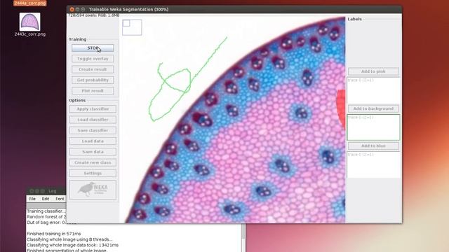 Trainable Weka Segmentation - How To Segment Color Images Using 3 Classes
