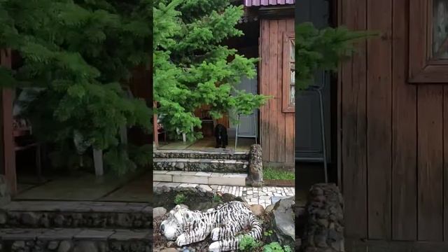 кусочек дачи смотреть онлайн