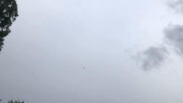 СУ-57 (ПАК ФА) из потолочки первый полёт после доработки смотреть онлайн