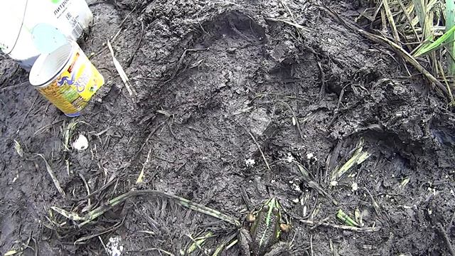 #1 Что делать когда не клюёт рыба? :) смотреть онлайн