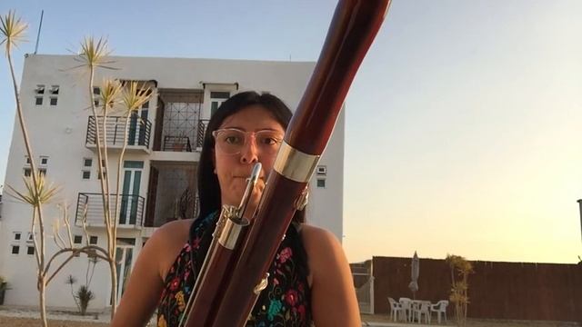 Mozart bassoon b flat---Excerpt смотреть онлайн
