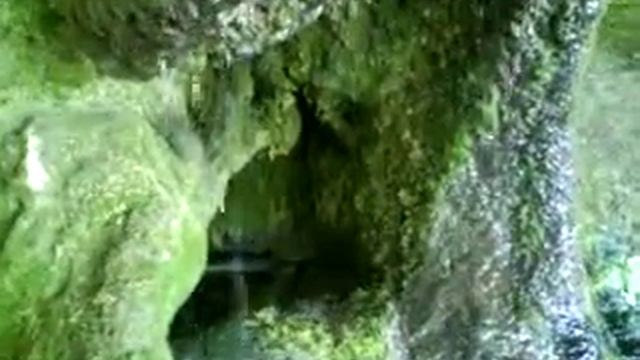 Очень вкусная вода из этого родника смотреть онлайн