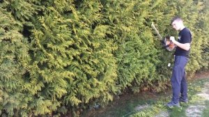 Электрический кусторез STIHL НSЕ 52 48180113507 50см