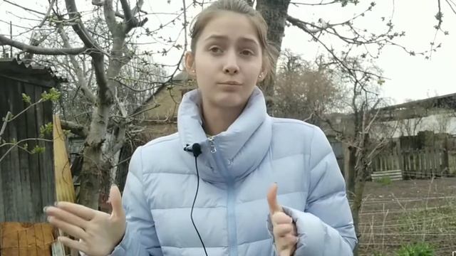 Что лучше ПОВОДОК VS РУЛЕТКА; ОШЕЙНИК VS ШЛЕЙКА для кота? смотреть онлайн