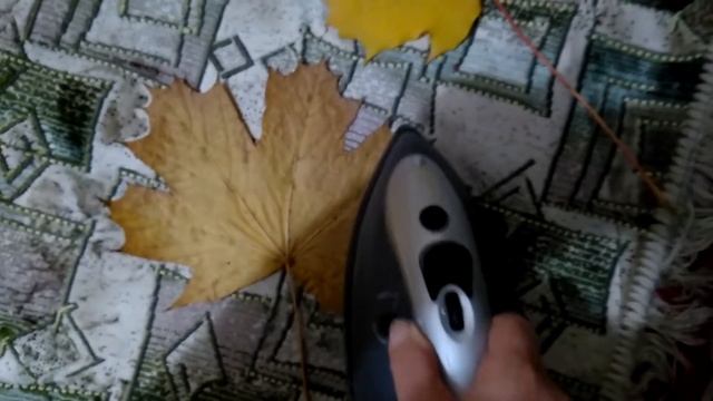 Как сохранить осенние листья надолго
