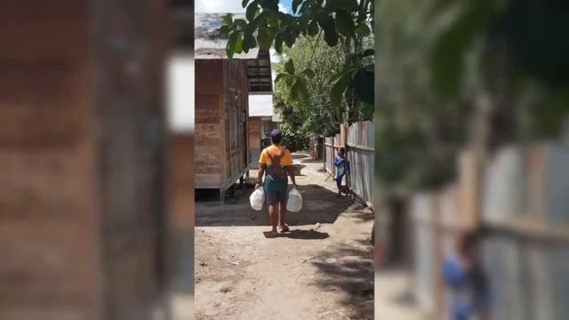 Friends of the Rhino, Java HD 720p смотреть онлайн