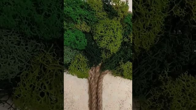 СТАБИЛИЗИРОВАННЫЙ МОХ 