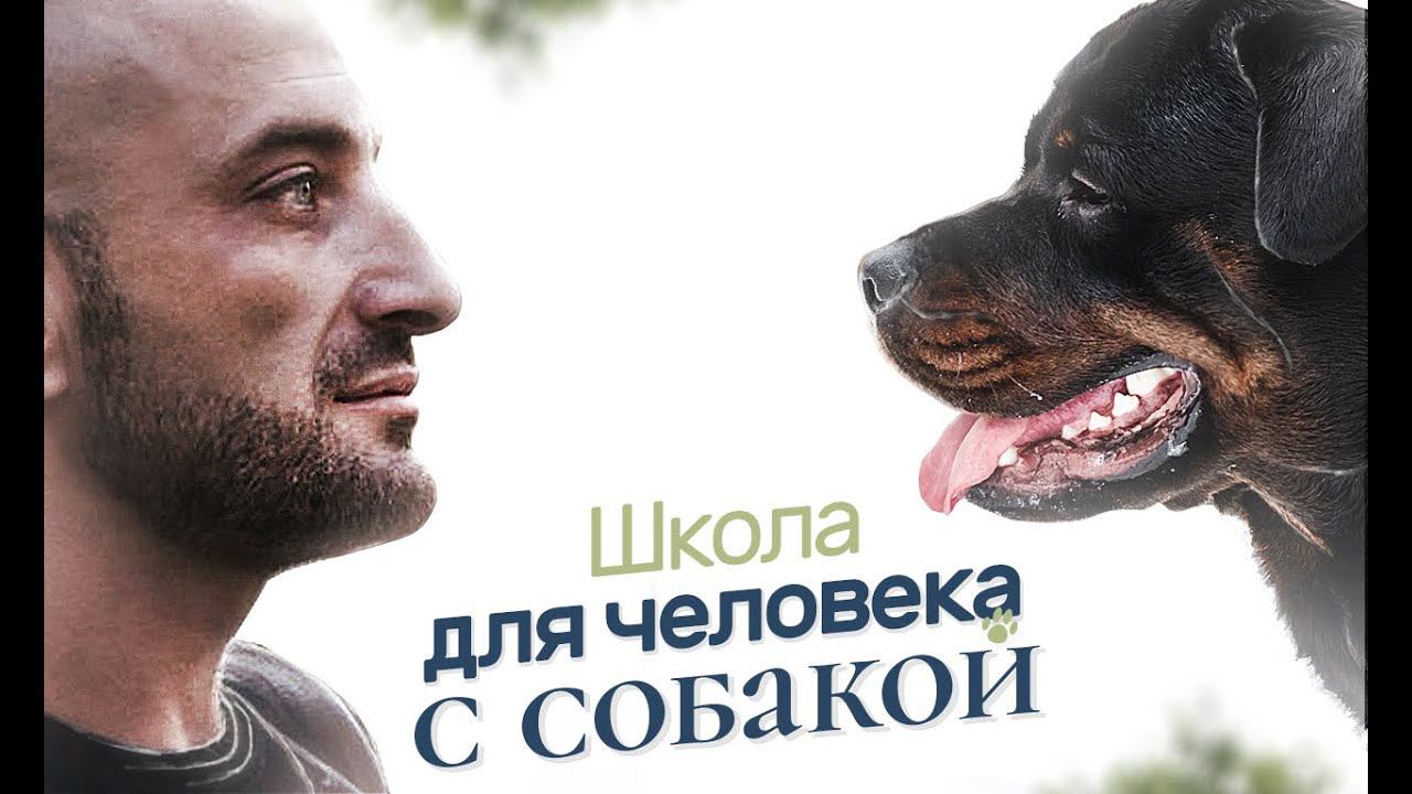 Школа Антуана Наджаряна "Искусство общения с собакой" От сердца к сердцу (1 поток) смотреть онлайн