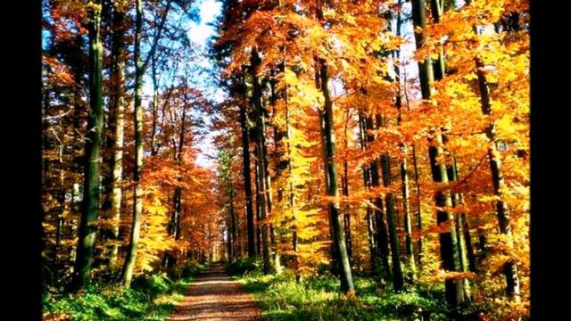 Осень смотреть онлайн