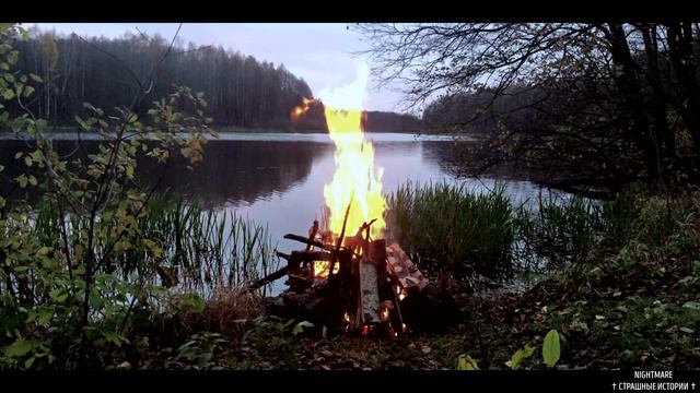 Истории на ночь - Они живут в лесу. смотреть онлайн