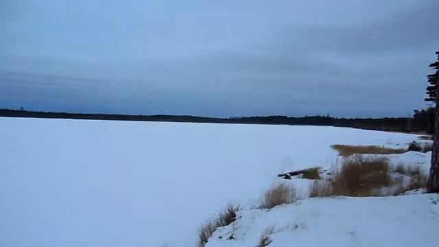 озеро Мертвое (Молодежное) зимой смотреть онлайн