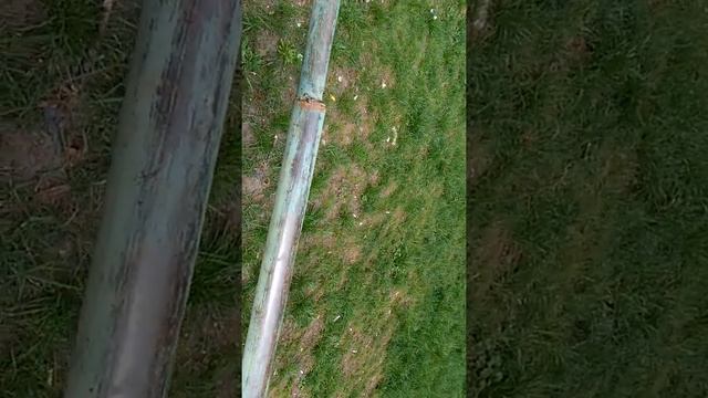 дворовая кошечка ходит по трубе ч1 смотреть онлайн