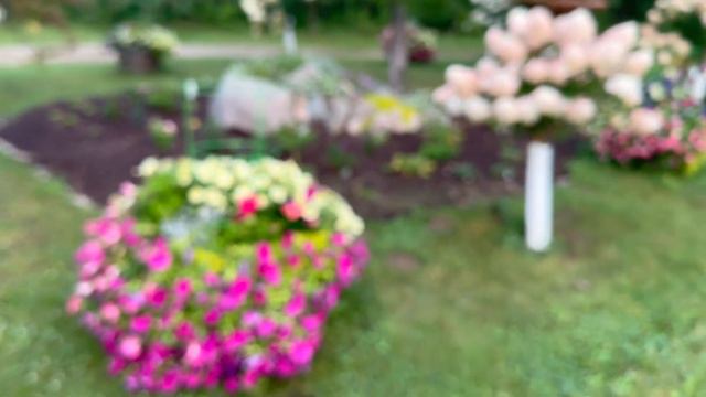 July Container Garden Tour (Flowers & Veggies)! | Simply Bloom смотреть онлайн