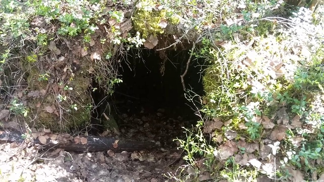 находка времен Петра 1 -углежоги или как нашли берлогу смотреть онлайн