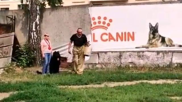 ФАН НОРД`С ОКТОБЕРФЕСТ смотреть онлайн